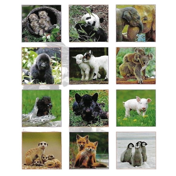 Calendar 2024 Baby Animals Full Size 16 Months Full Size Wall Calendar 12x22 in - Picture 2 of 10